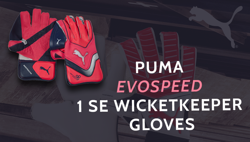 Puma keeping gloves shop
