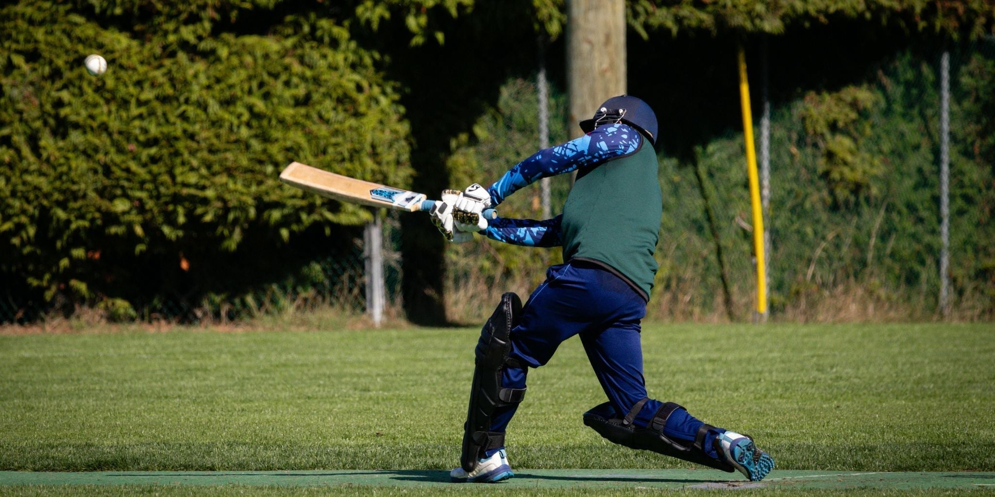 5 Best English Willow Cricket Bats for Power Hitting