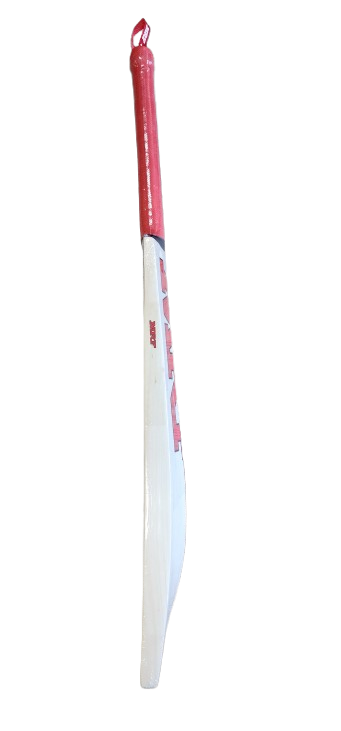MRF CHAMP JUNIOR Cricket Bat -Kashmir Willow (UK Model)