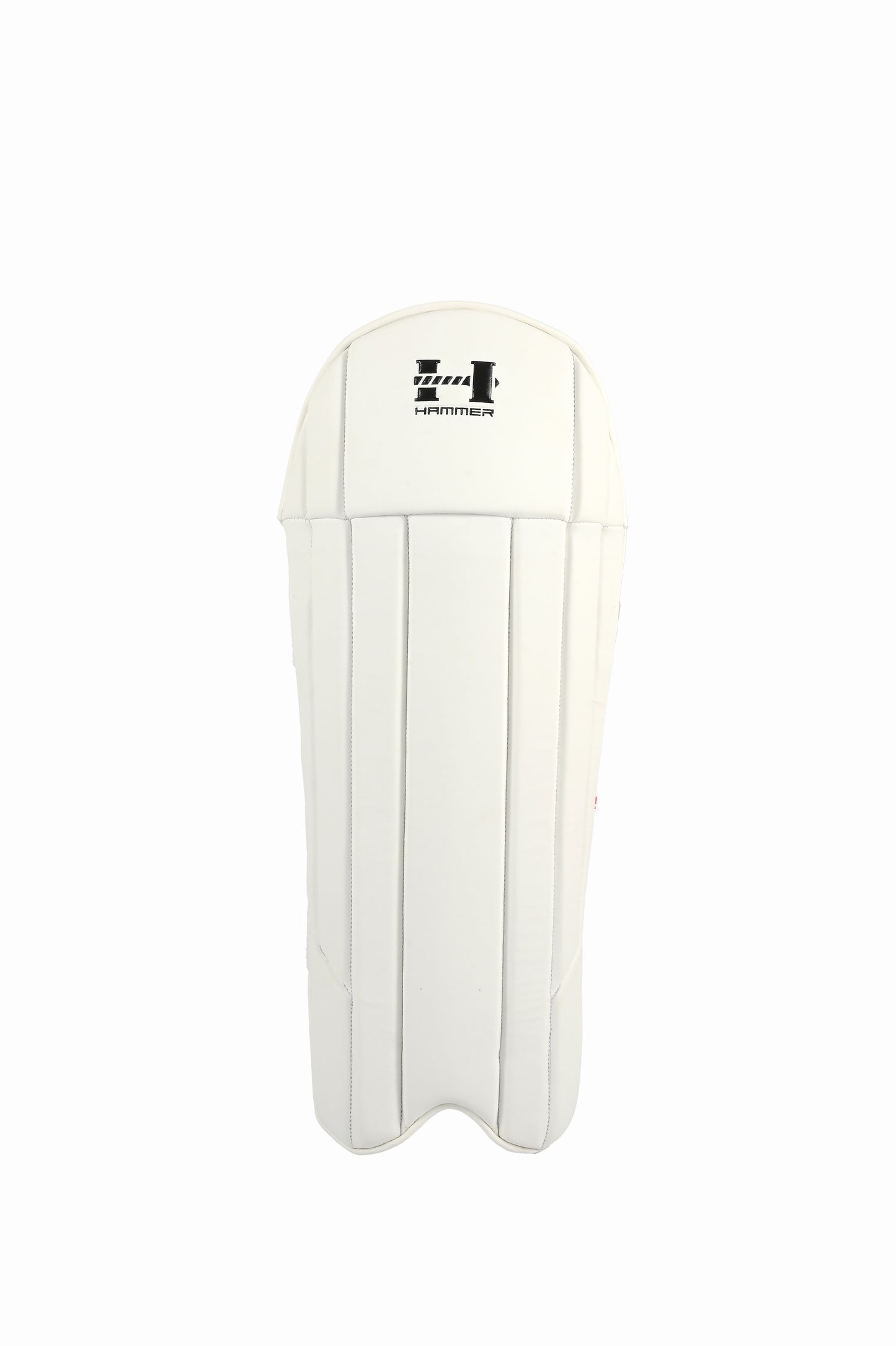 Hammer Black Edition Wicket keeping pads 2025 (WHITE)
