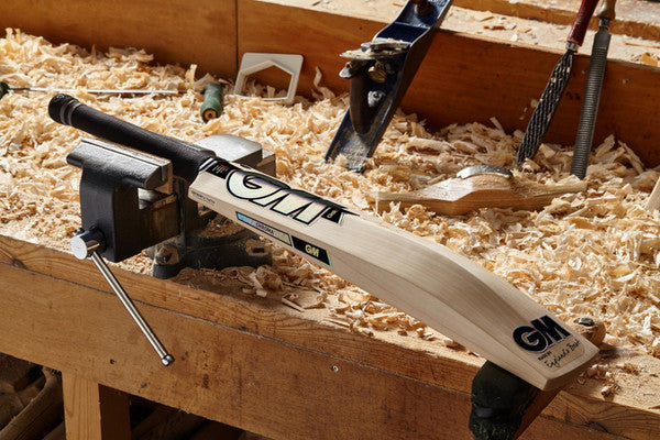 GM JAMES VINCE PLAYERS EDITION CRICKET BAT 2022
