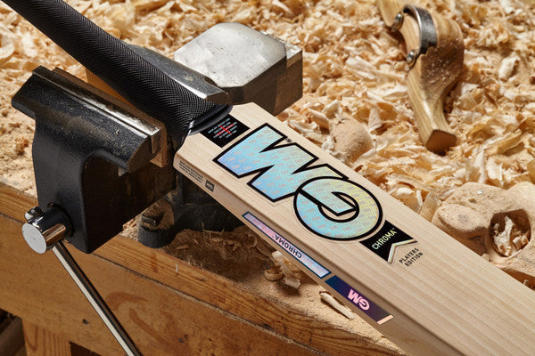GM JAMES VINCE PLAYERS EDITION CRICKET BAT 2022