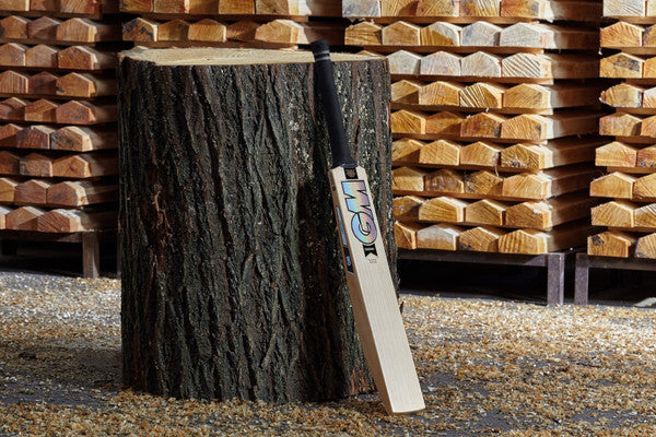 GM JAMES VINCE PLAYERS EDITION CRICKET BAT 2023
