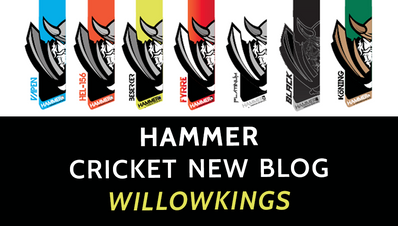 Hammer cricket new blog - WillowKings