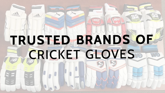 Trusted Brands of Cricket Gloves