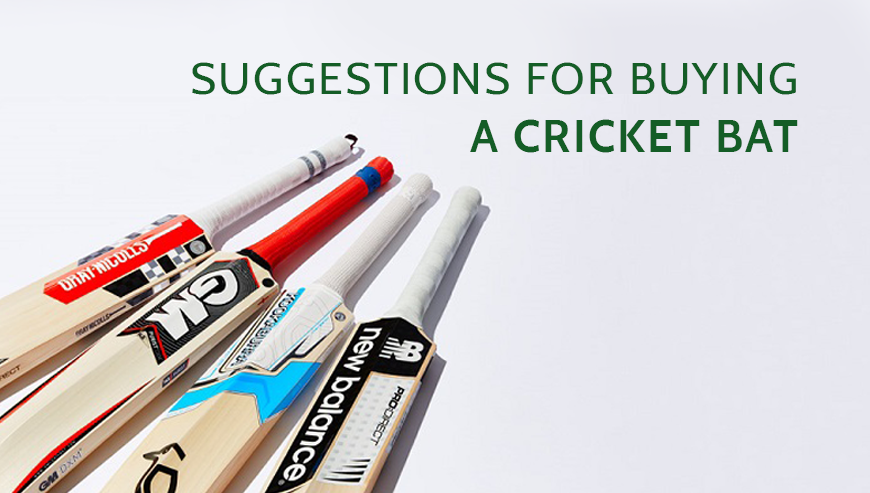 LOOKING TO BUY CRICKET BAT ONLINE