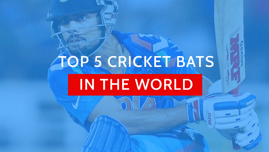 5 Of the Best Bats In The World