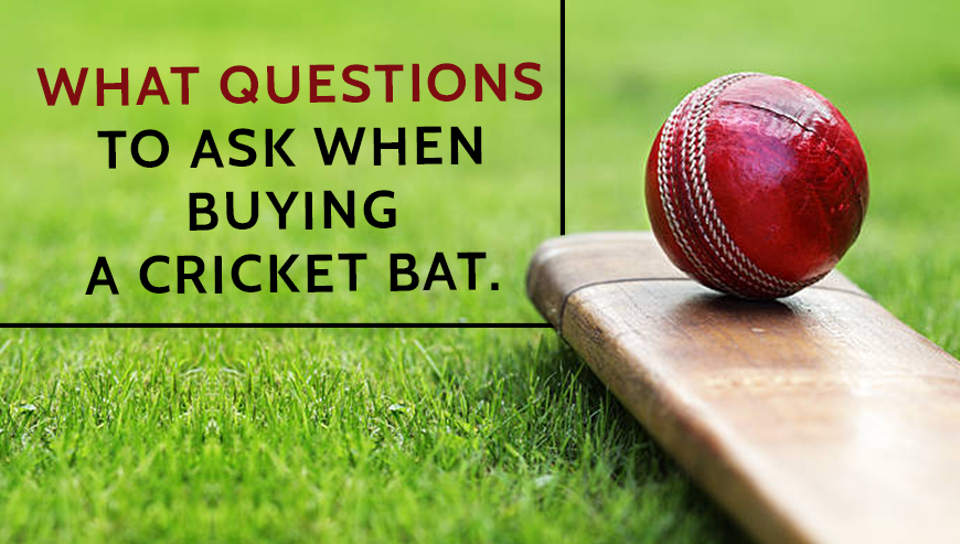 What questions to ask when buying a cricket bat.