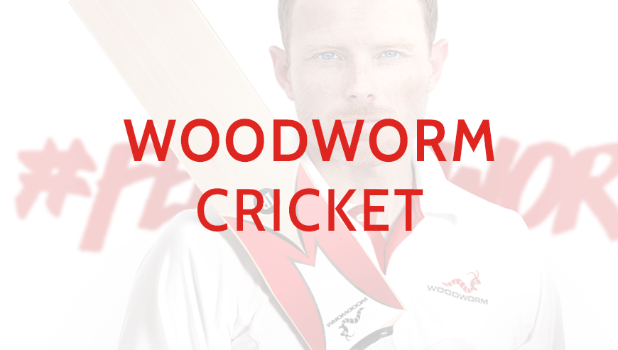 Woodworm Cricket