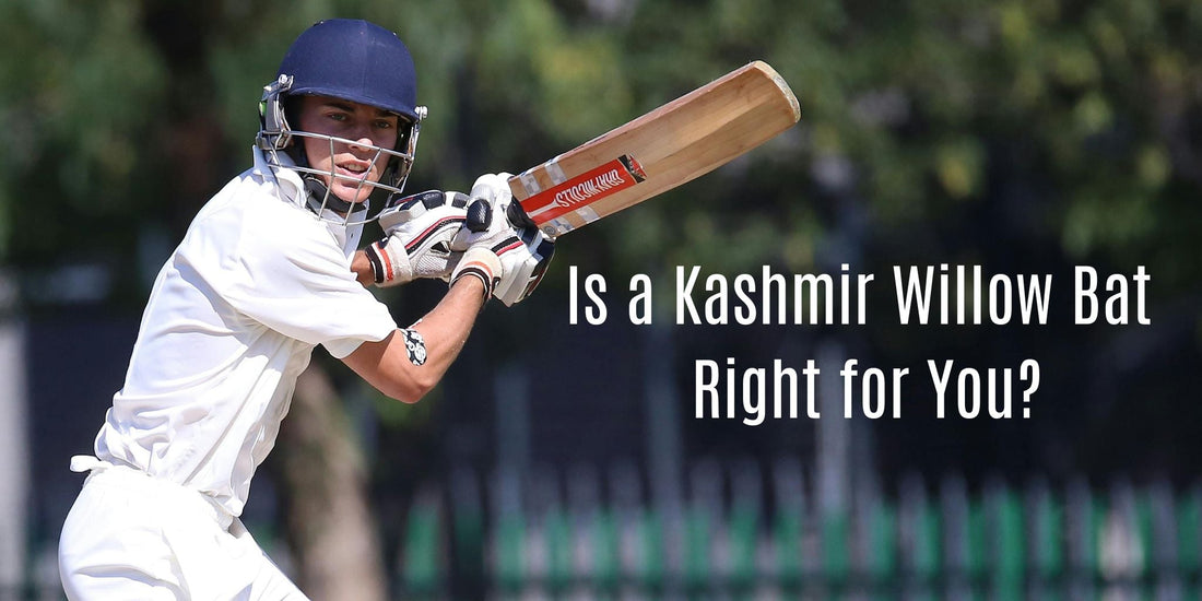 Is a Kashmir Willow Bat Right for You? A Practical Guide
