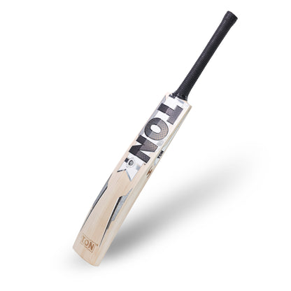 SS TON Silver Edition Cricket Bat 2025