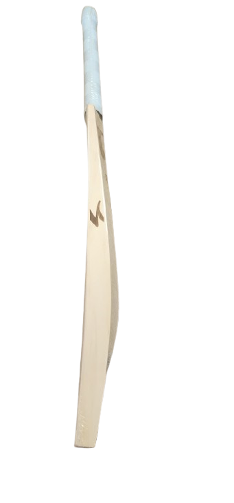 SG Sunny Gold Cricket Bat 2026