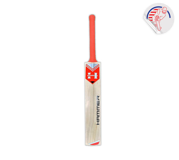 Hammer Steele Cricket Bat - (Kashmir Willow)