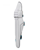 GM Diamond 808 Cricket Batting Pad