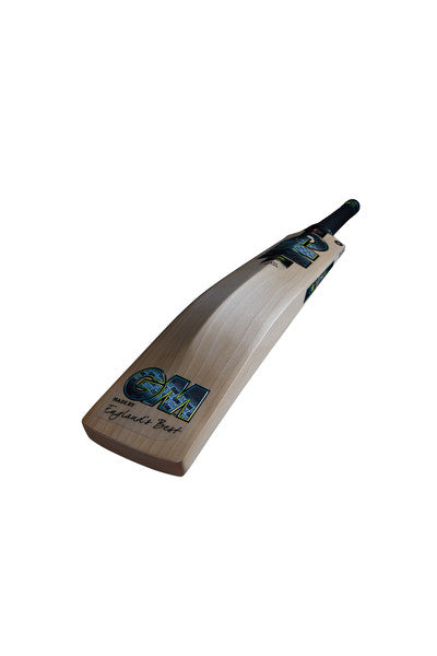 GM AION Original Cricket Bat 2024