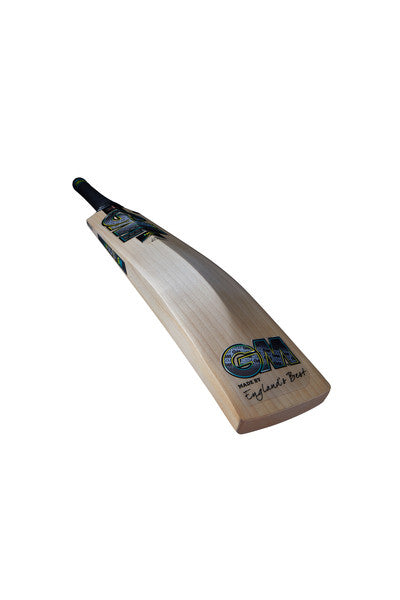 GM AION Original Cricket Bat 2024