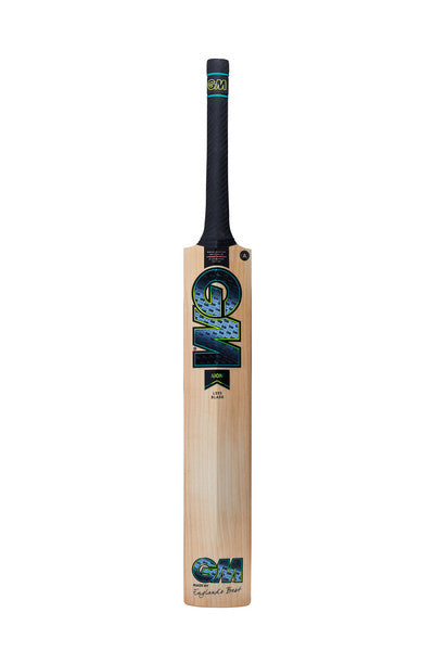 GM AION 909 Cricket Bat 2024