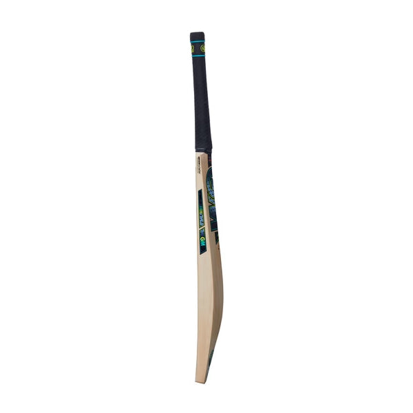 GM AION Limited Edition Cricket Bat 2024