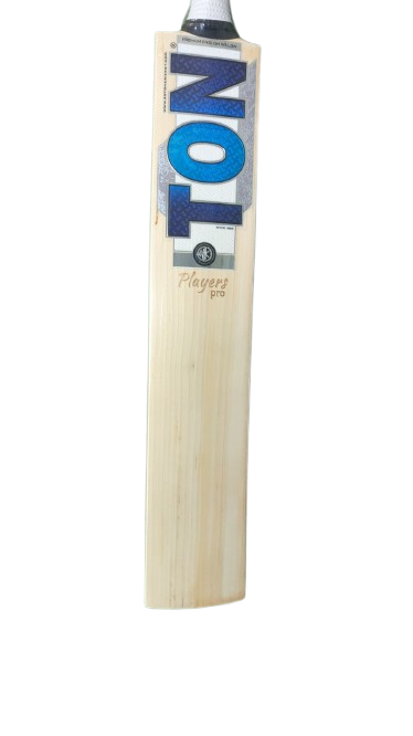SS Dewald Brevis Player Pro Cricket Bat 2026