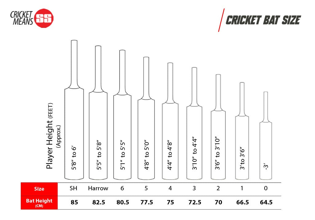 SS TON Slasher Cricket Bat 2025