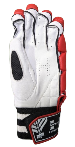 Thumbnail image of the product