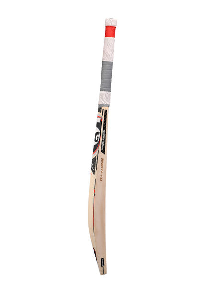 SG VS319 XTREME Cricket Bat