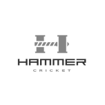 Hammer cricket