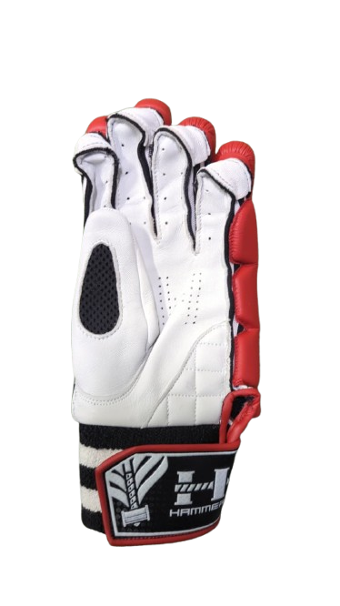 Thumbnail image of the product