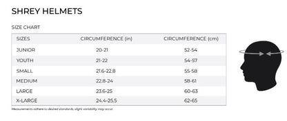Shrey Master Class AIR 2.0 Cricket Helmet - STEEL