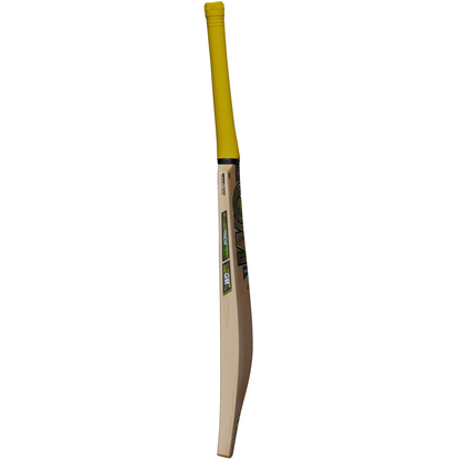 GM PSYCHE Signature Cricket Bat 2025