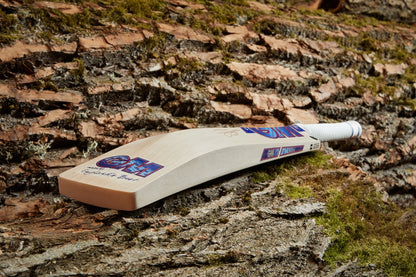 GM BEN DUCKETT Players Edition Cricket Bat 2025