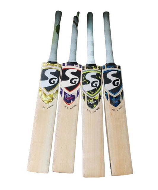 SG HP Punch Cricket Bat 2024