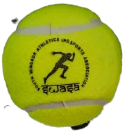 Nivia Heavy Tennis Ball - Yellow - Senior Size (Pack of 1)