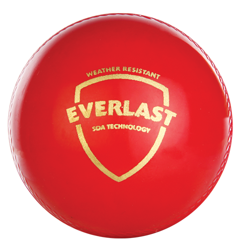 SG Everlast Synthetic Cricket Ball