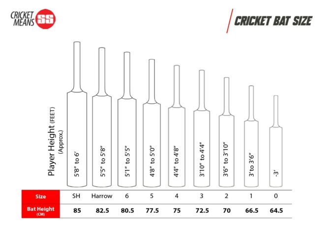 SS TON Reserve Edition Cricket Bat 2025