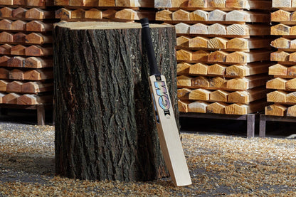 GM JAMES VINCE PLAYERS EDITION CRICKET BAT 2023