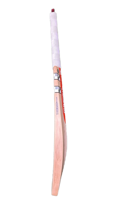 Gray Nicolls Test Players Cricket Bat - 2024