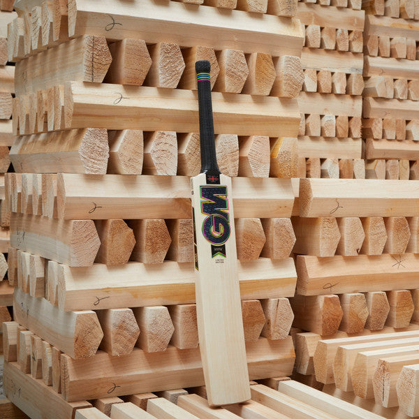 GM HYPA Limited Edition Cricket Bat 2024