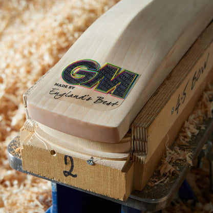 GM HYPA 909 Cricket Bat 2024