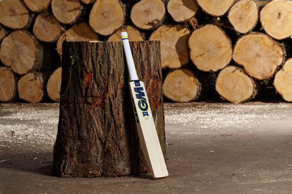 GM AIDEN MARKRAM PLAYERS EDITION CRICKET BAT 2022